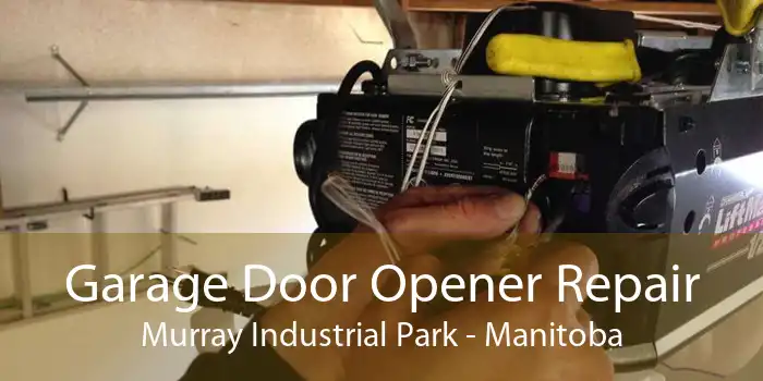 Garage Door Opener Repair Murray Industrial Park - Manitoba