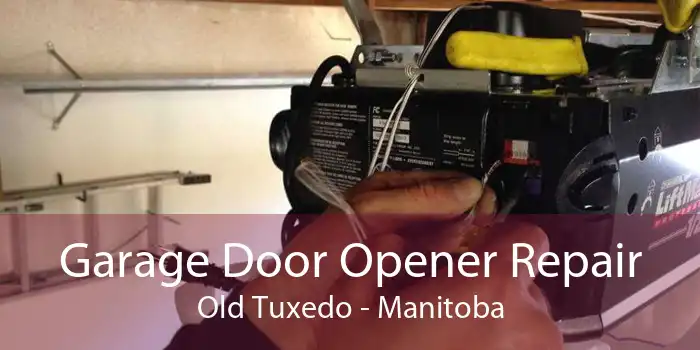 Garage Door Opener Repair Old Tuxedo - Manitoba