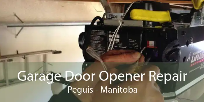 Garage Door Opener Repair Peguis - Manitoba