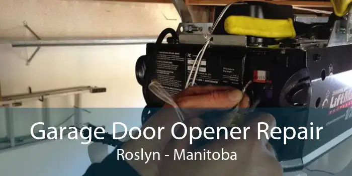 Garage Door Opener Repair Roslyn - Manitoba