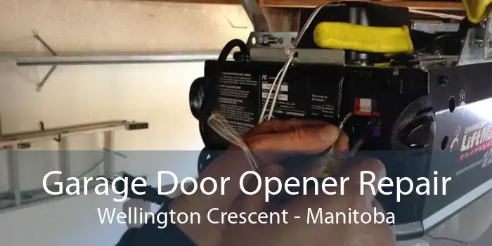 Garage Door Opener Repair Wellington Crescent - Manitoba