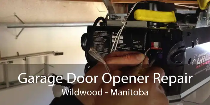 Garage Door Opener Repair Wildwood - Manitoba