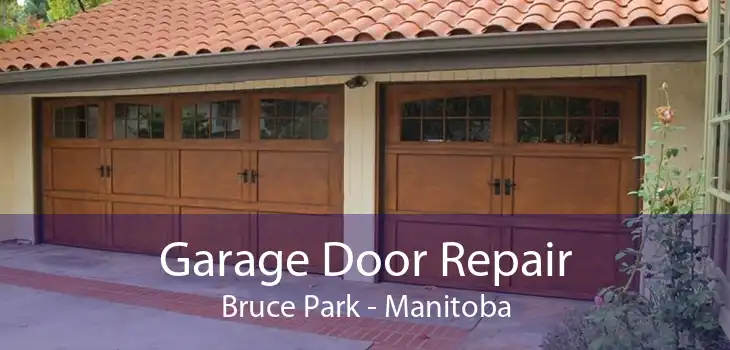 Garage Door Repair Bruce Park - Manitoba