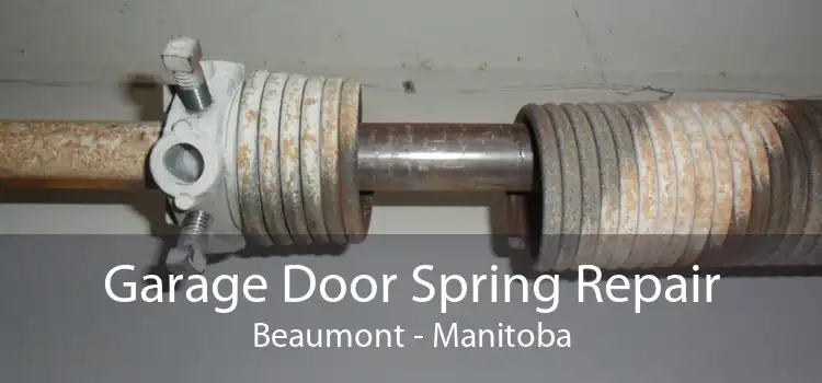 Garage Door Spring Repair Beaumont - Manitoba