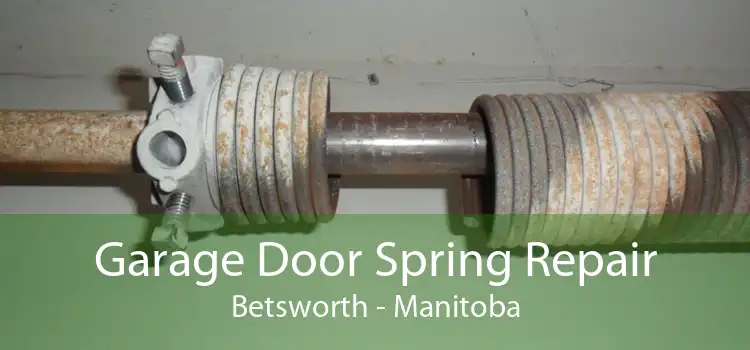 Garage Door Spring Repair Betsworth - Manitoba