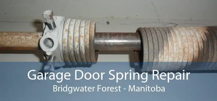 Garage Door Spring Repair Bridgwater Forest - Manitoba