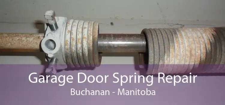 Garage Door Spring Repair Buchanan - Manitoba