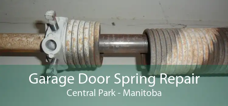 Garage Door Spring Repair Central Park - Manitoba
