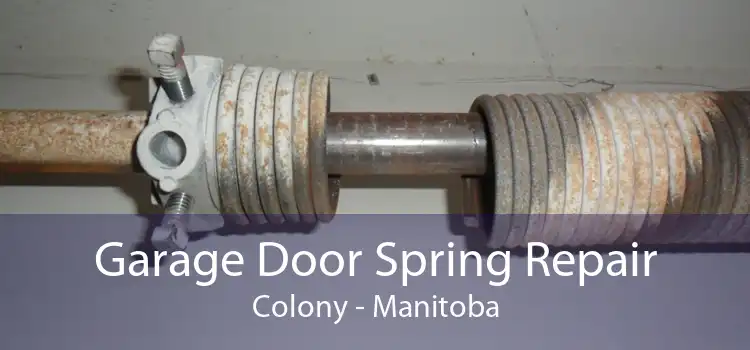 Garage Door Spring Repair Colony - Manitoba