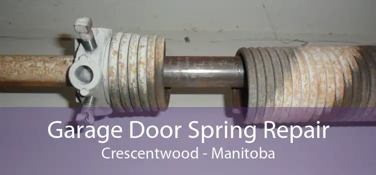 Garage Door Spring Repair Crescentwood - Manitoba