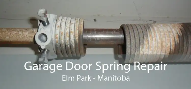 Garage Door Spring Repair Elm Park - Manitoba