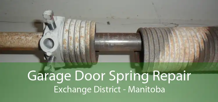 Garage Door Spring Repair Exchange District - Manitoba