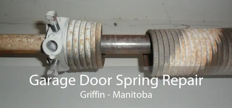 Garage Door Spring Repair Griffin - Manitoba
