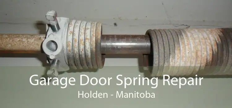 Garage Door Spring Repair Holden - Manitoba