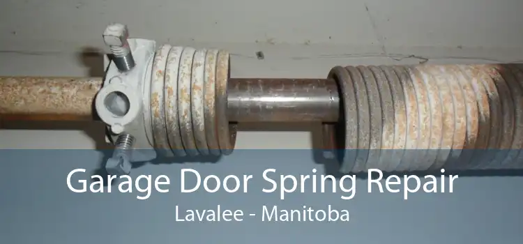 Garage Door Spring Repair Lavalee - Manitoba