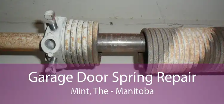 Garage Door Spring Repair Mint, The - Manitoba