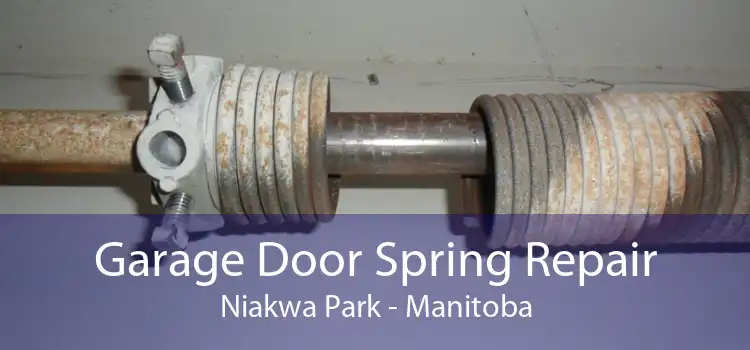 Garage Door Spring Repair Niakwa Park - Manitoba