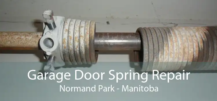 Garage Door Spring Repair Normand Park - Manitoba