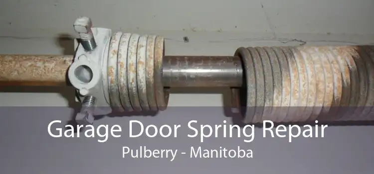 Garage Door Spring Repair Pulberry - Manitoba