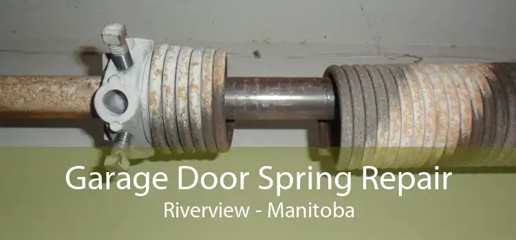 Garage Door Spring Repair Riverview - Manitoba