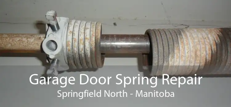 Garage Door Spring Repair Springfield North - Manitoba
