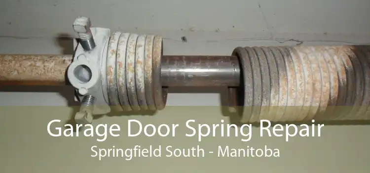 Garage Door Spring Repair Springfield South - Manitoba