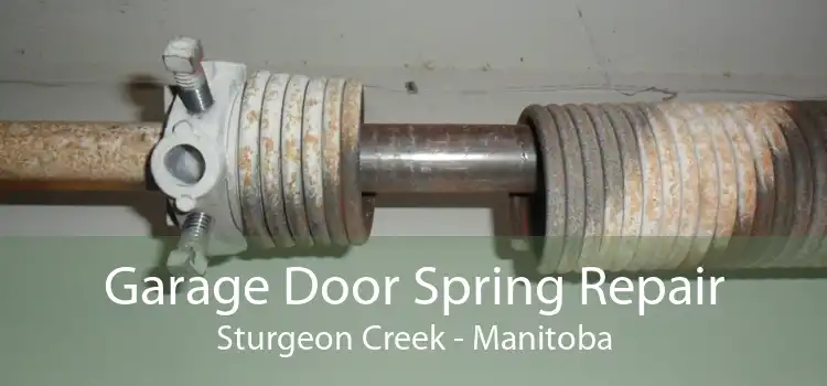 Garage Door Spring Repair Sturgeon Creek - Manitoba