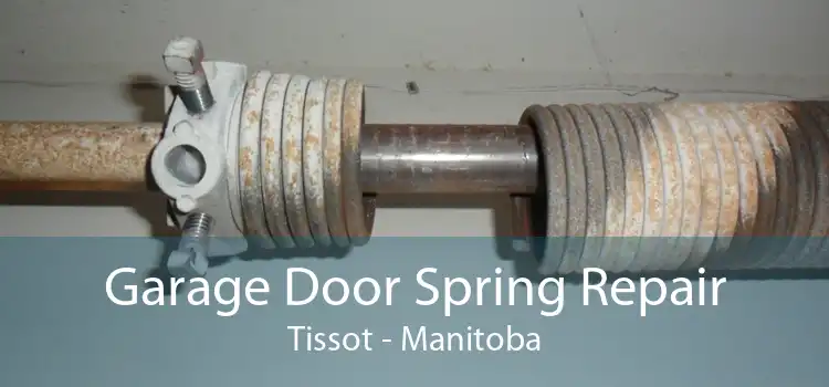 Garage Door Spring Repair Tissot - Manitoba