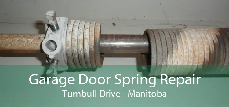 Garage Door Spring Repair Turnbull Drive - Manitoba