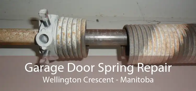 Garage Door Spring Repair Wellington Crescent - Manitoba