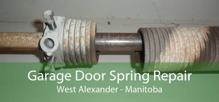 Garage Door Spring Repair West Alexander - Manitoba