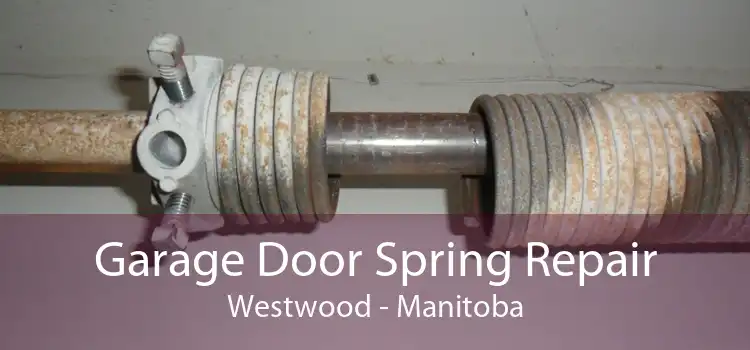 Garage Door Spring Repair Westwood - Manitoba