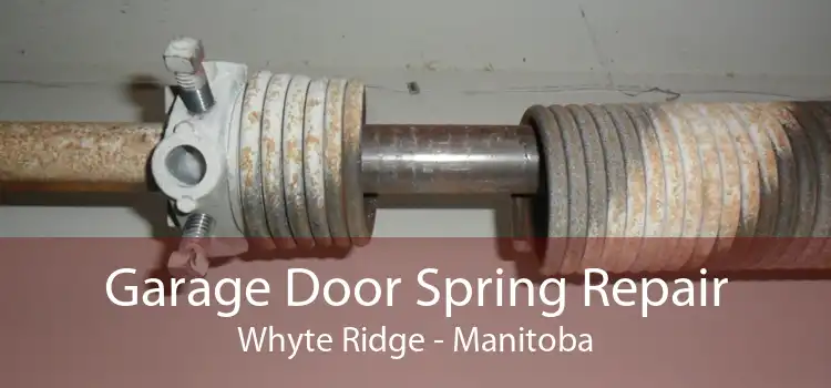 Garage Door Spring Repair Whyte Ridge - Manitoba