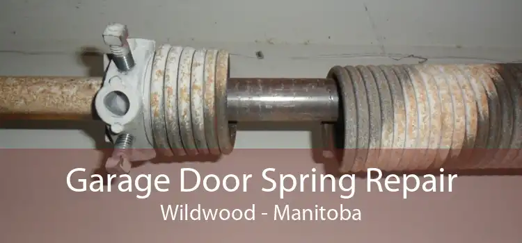 Garage Door Spring Repair Wildwood - Manitoba