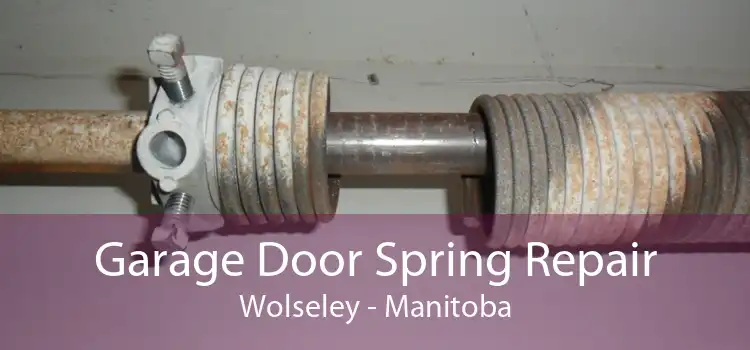 Garage Door Spring Repair Wolseley - Manitoba