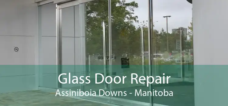 Glass Door Repair Assiniboia Downs - Manitoba