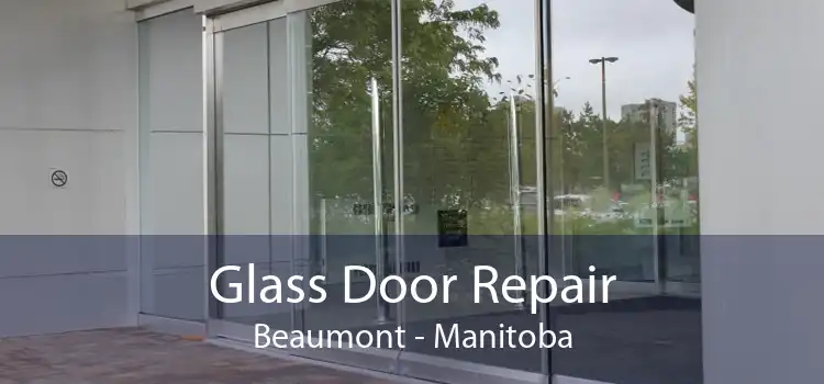 Glass Door Repair Beaumont - Manitoba