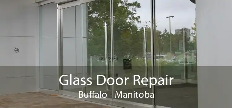Glass Door Repair Buffalo - Manitoba