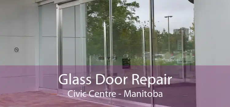 Glass Door Repair Civic Centre - Manitoba