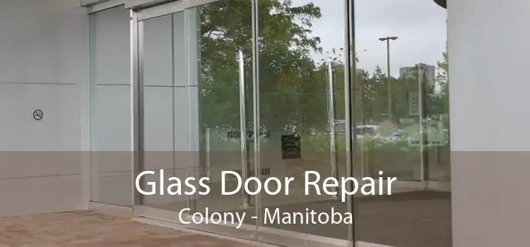 Glass Door Repair Colony - Manitoba