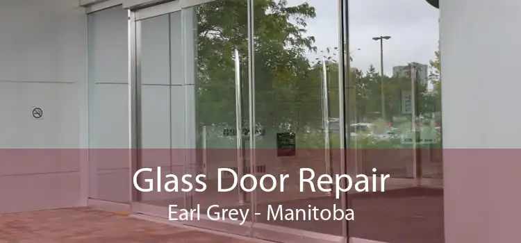 Glass Door Repair Earl Grey - Manitoba