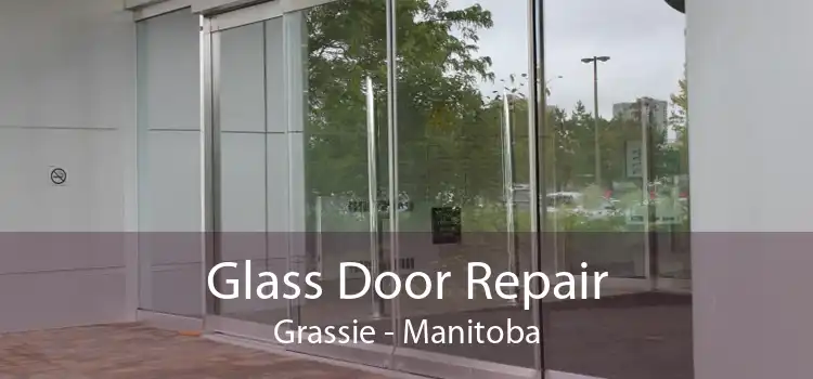 Glass Door Repair Grassie - Manitoba