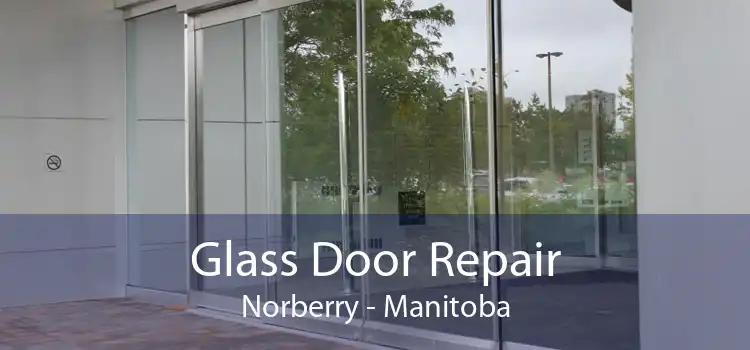 Glass Door Repair Norberry - Manitoba