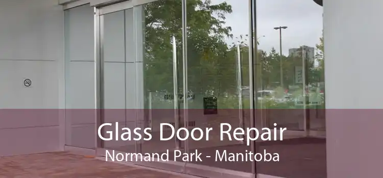Glass Door Repair Normand Park - Manitoba