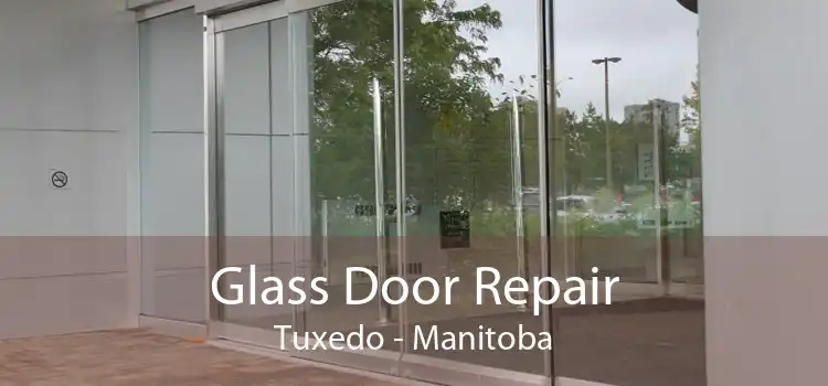 Glass Door Repair Tuxedo - Manitoba