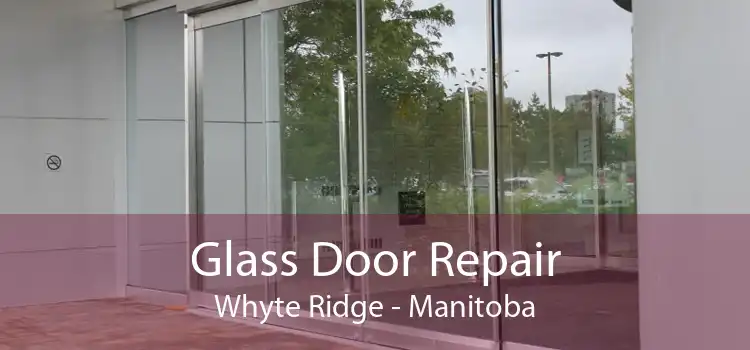 Glass Door Repair Whyte Ridge - Manitoba
