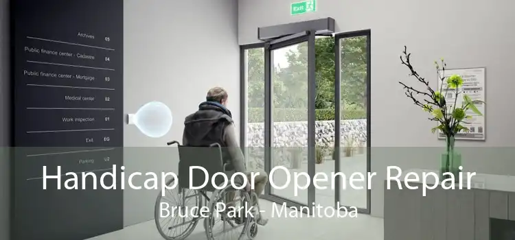 Handicap Door Opener Repair Bruce Park - Manitoba