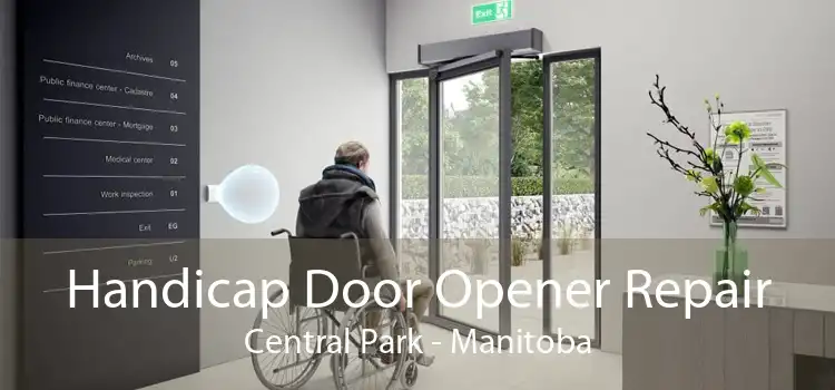 Handicap Door Opener Repair Central Park - Manitoba