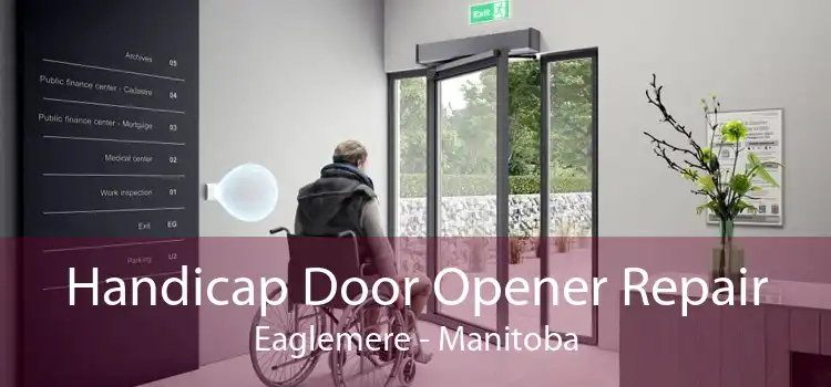 Handicap Door Opener Repair Eaglemere - Manitoba