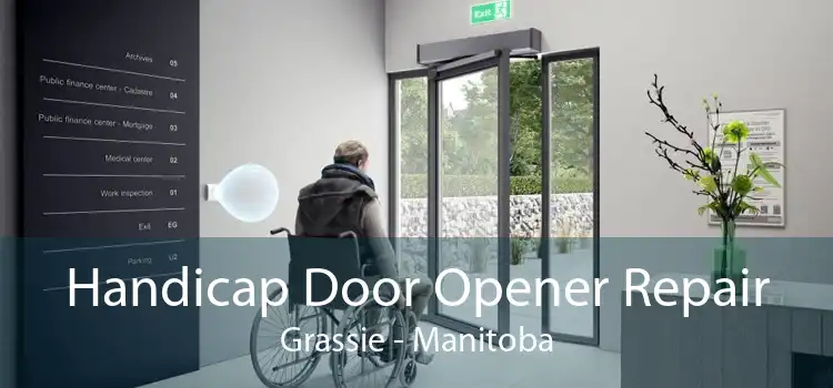 Handicap Door Opener Repair Grassie - Manitoba